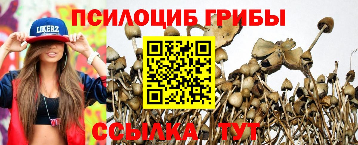 Галлюциногенные грибы Psilocybe  Вход с VPN  Корсаков 