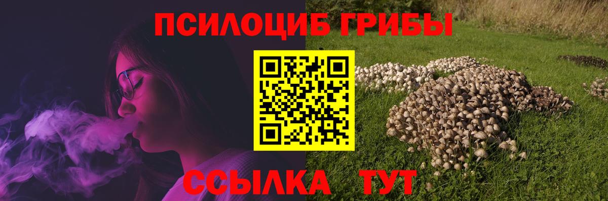 Галлюциногенные грибы мухоморы Корсаков